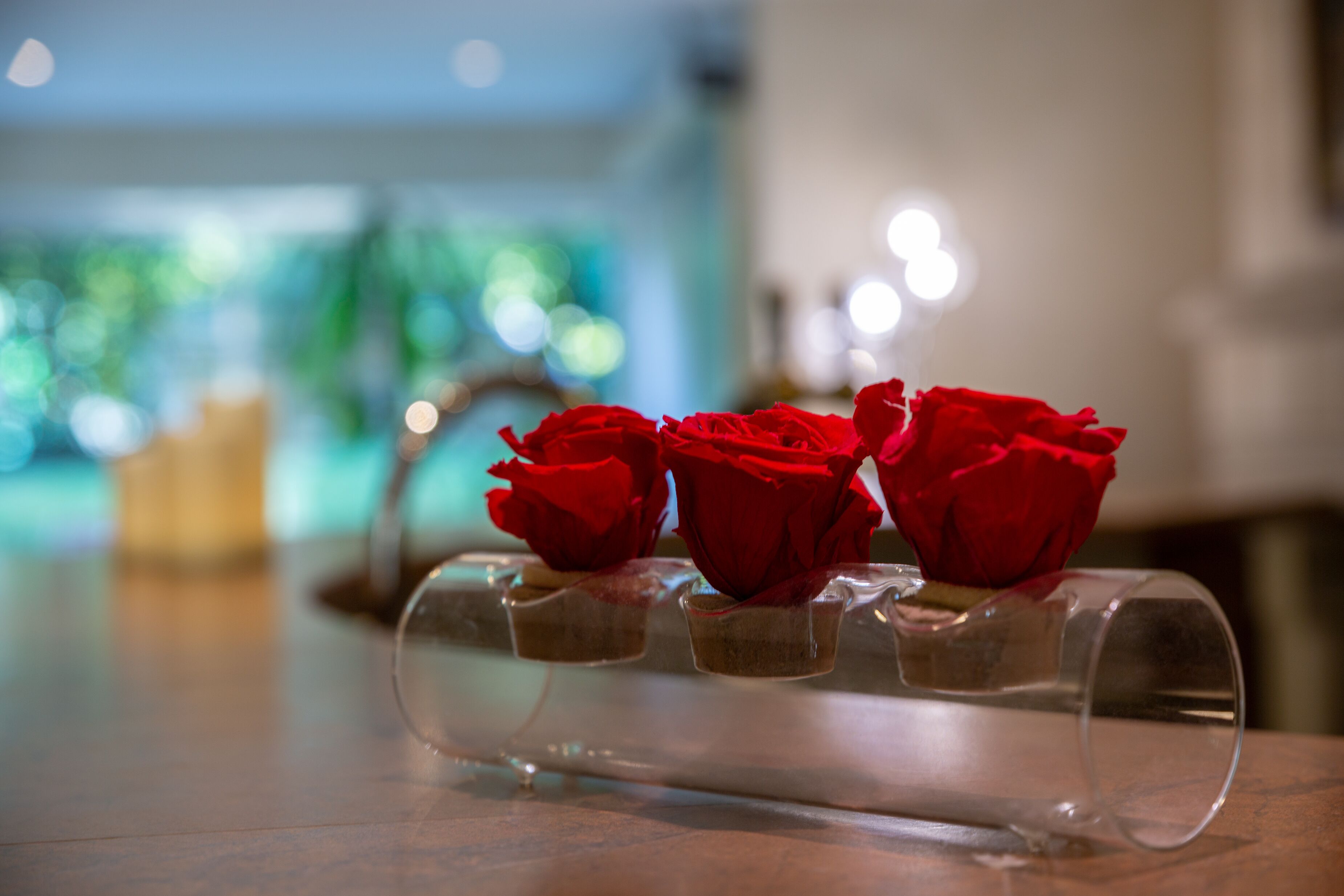 Foto - Hôtel Les Trois Roses, Meylan Grenoble