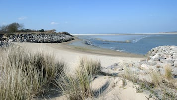 Una spiaggia nelle vicinanze