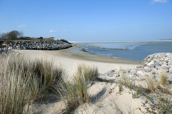 Nær stranden