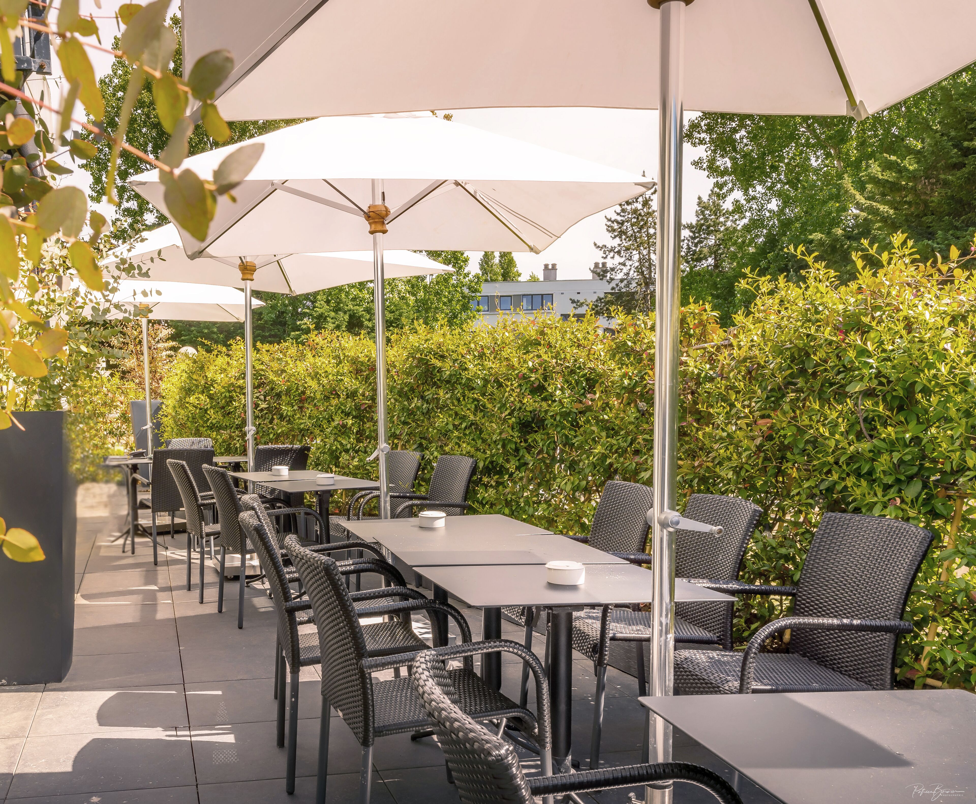 lunch and dinner served, french cuisine