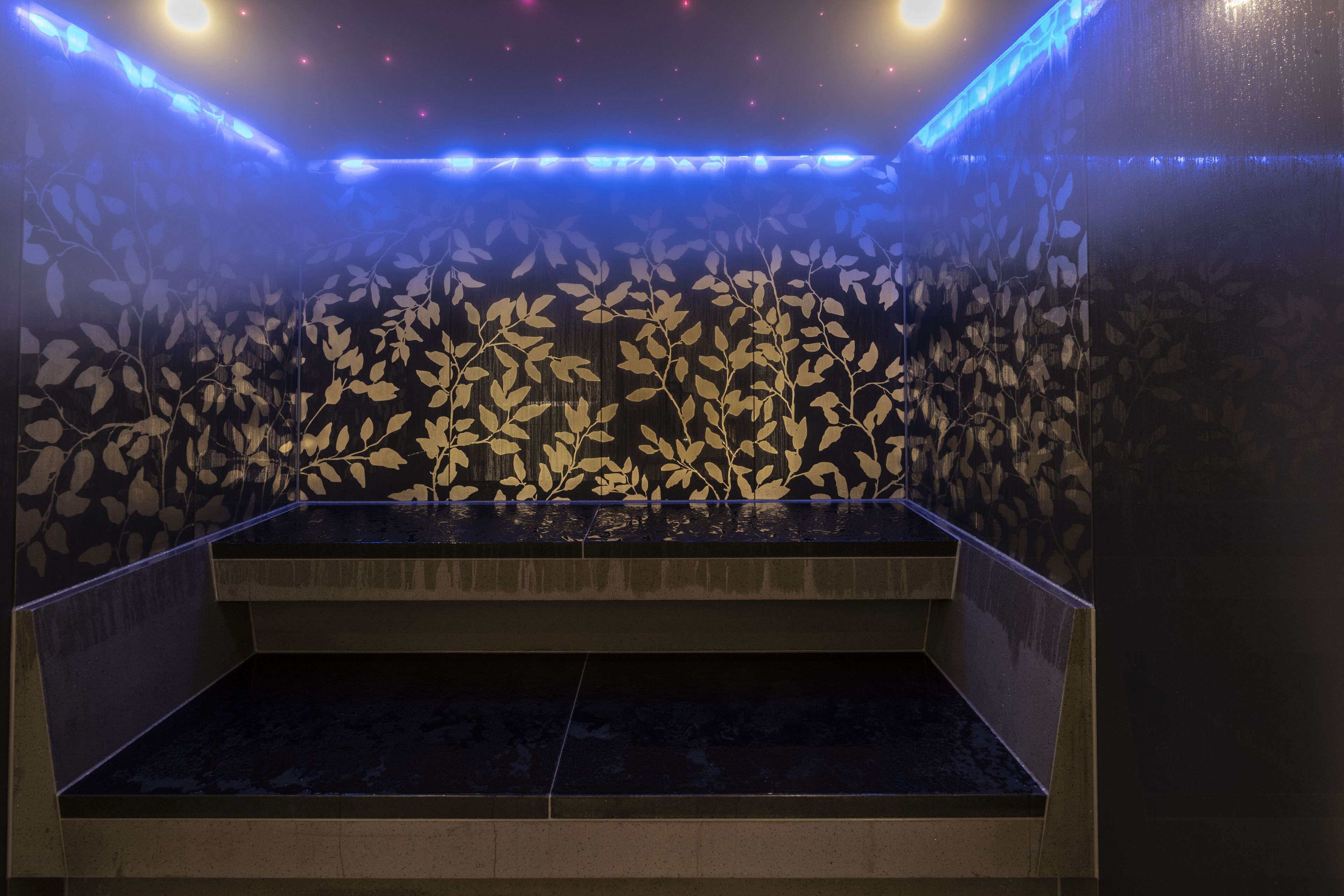 sauna, hot tub, steam room, massage/treatment rooms, massages