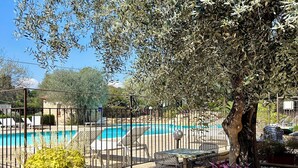 Un espacio para comer al aire libre con vistas a una piscina, rodeado de olivos y una valla de metal.