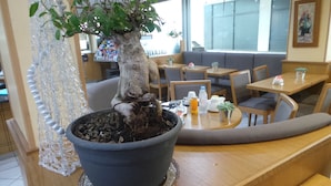 A restaurant interior with a large potted bonsai tree, wooden tables, and cushioned seating. - The Originals City, Hôtel Galaxie, Nice Aéroport (Saint-Laurent-du-Var)