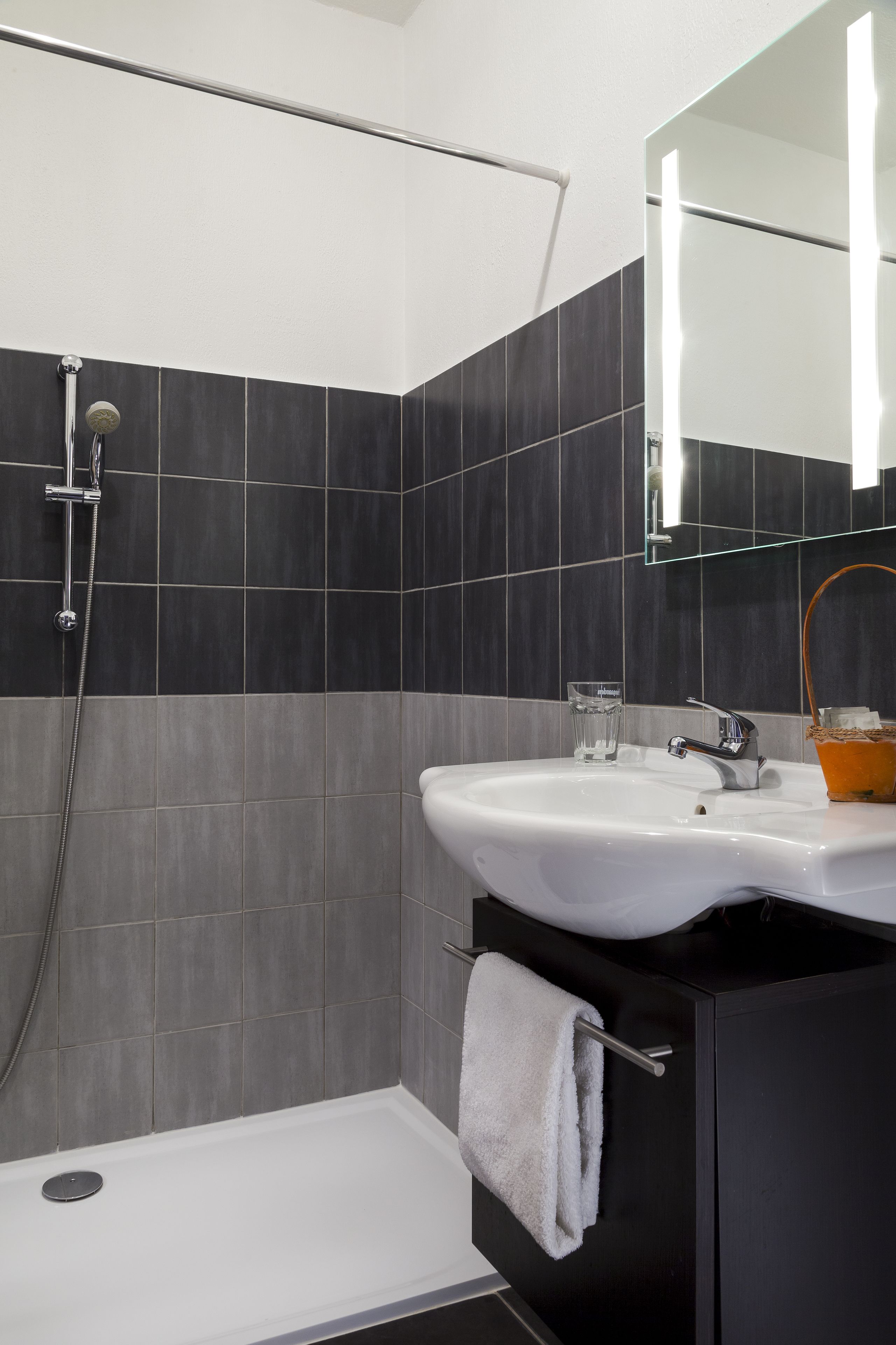 combined shower/bathtub, free toiletries, hair dryer, bidet