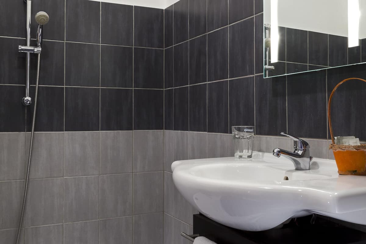 combined shower/bathtub, free toiletries, hair dryer, bidet