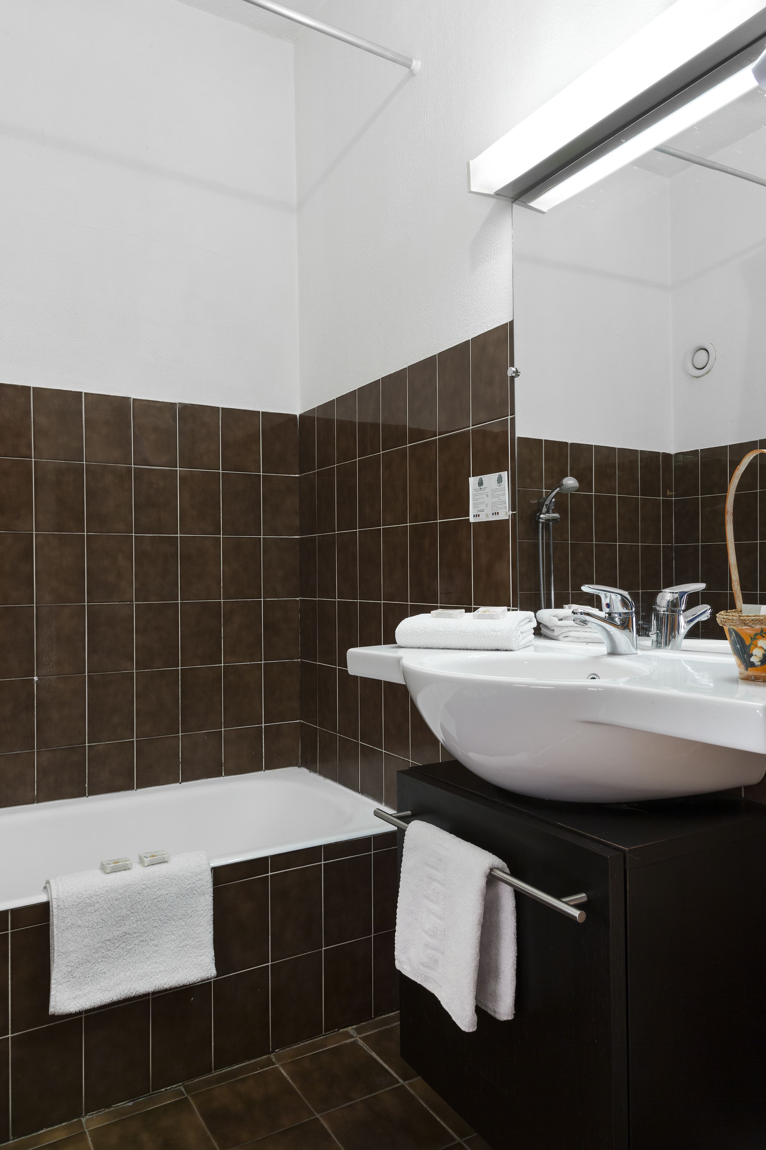 combined shower/bathtub, free toiletries, hair dryer, bidet