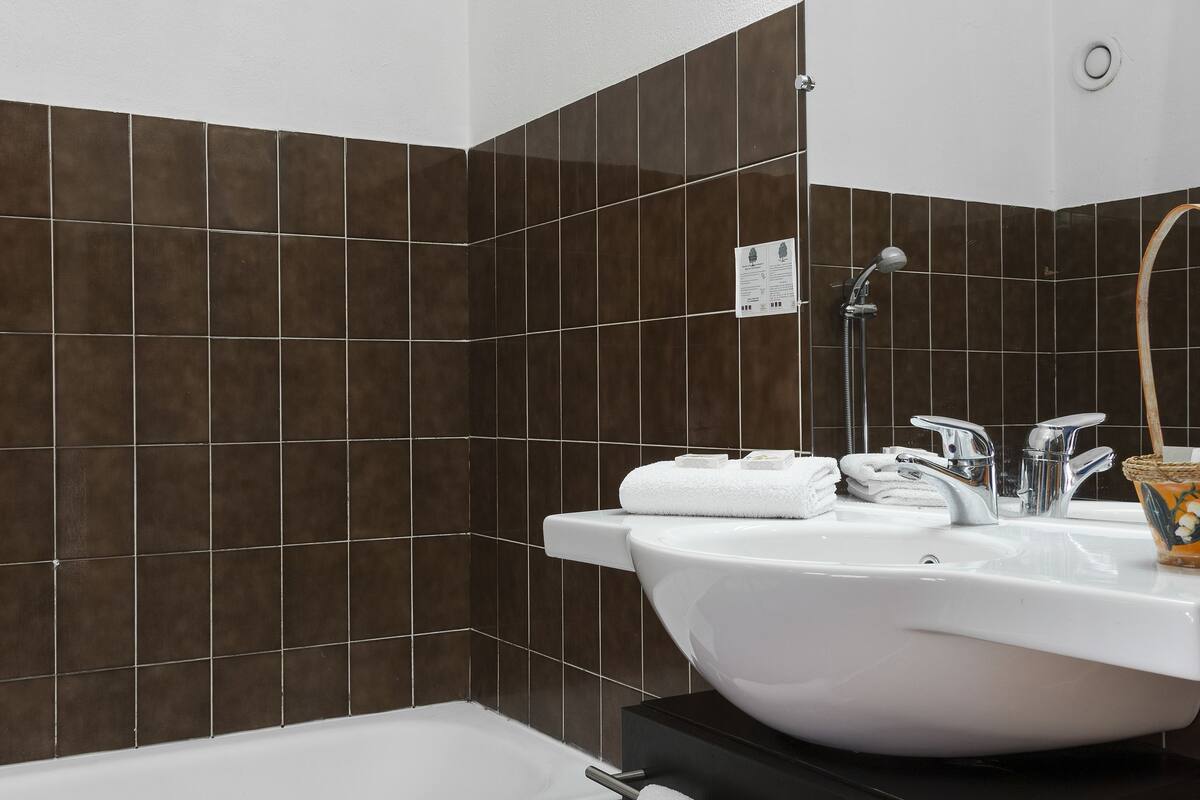 combined shower/bathtub, free toiletries, hair dryer, bidet