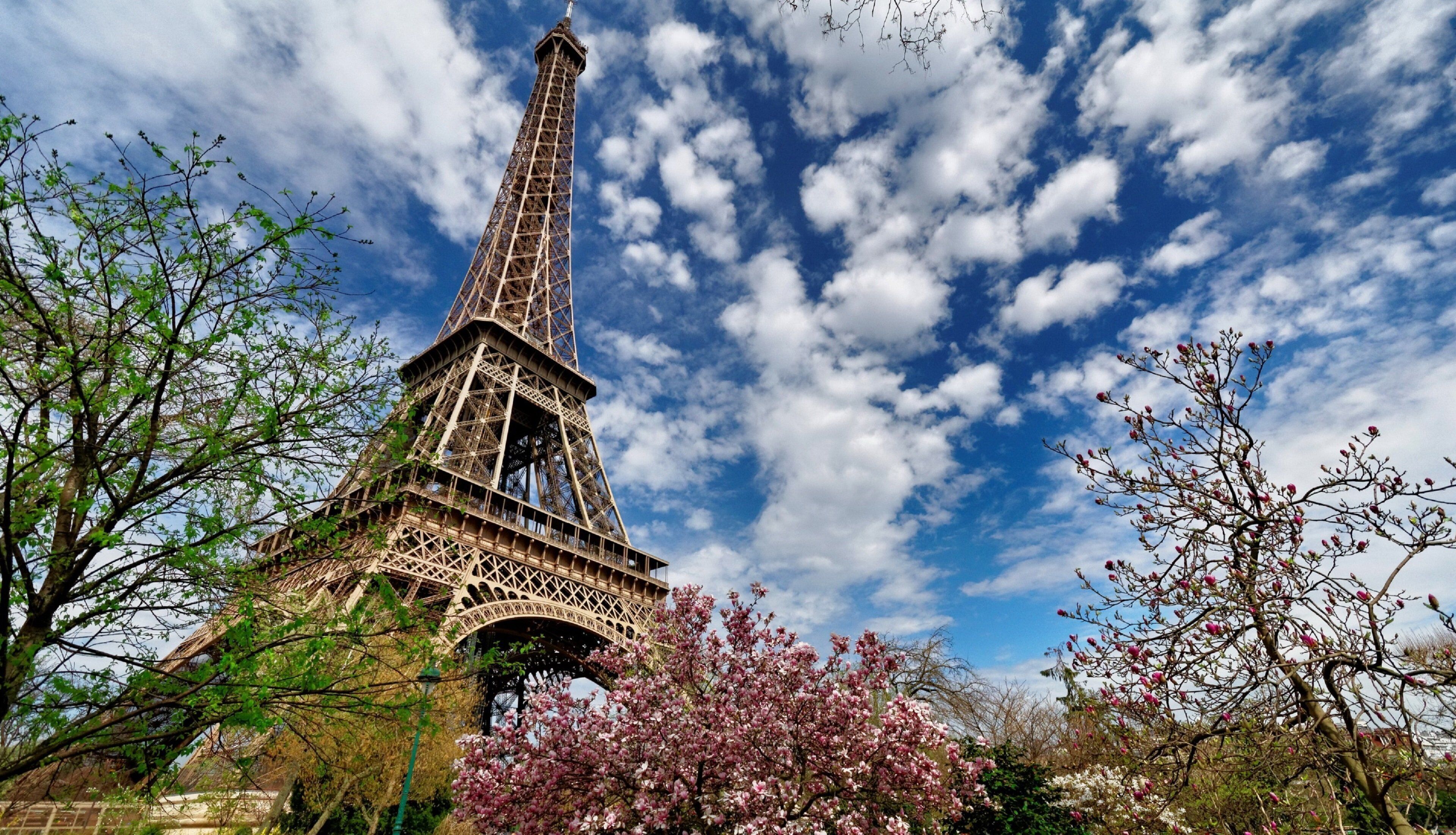 The Eiffel Tower with a clear sky and blooming trees.