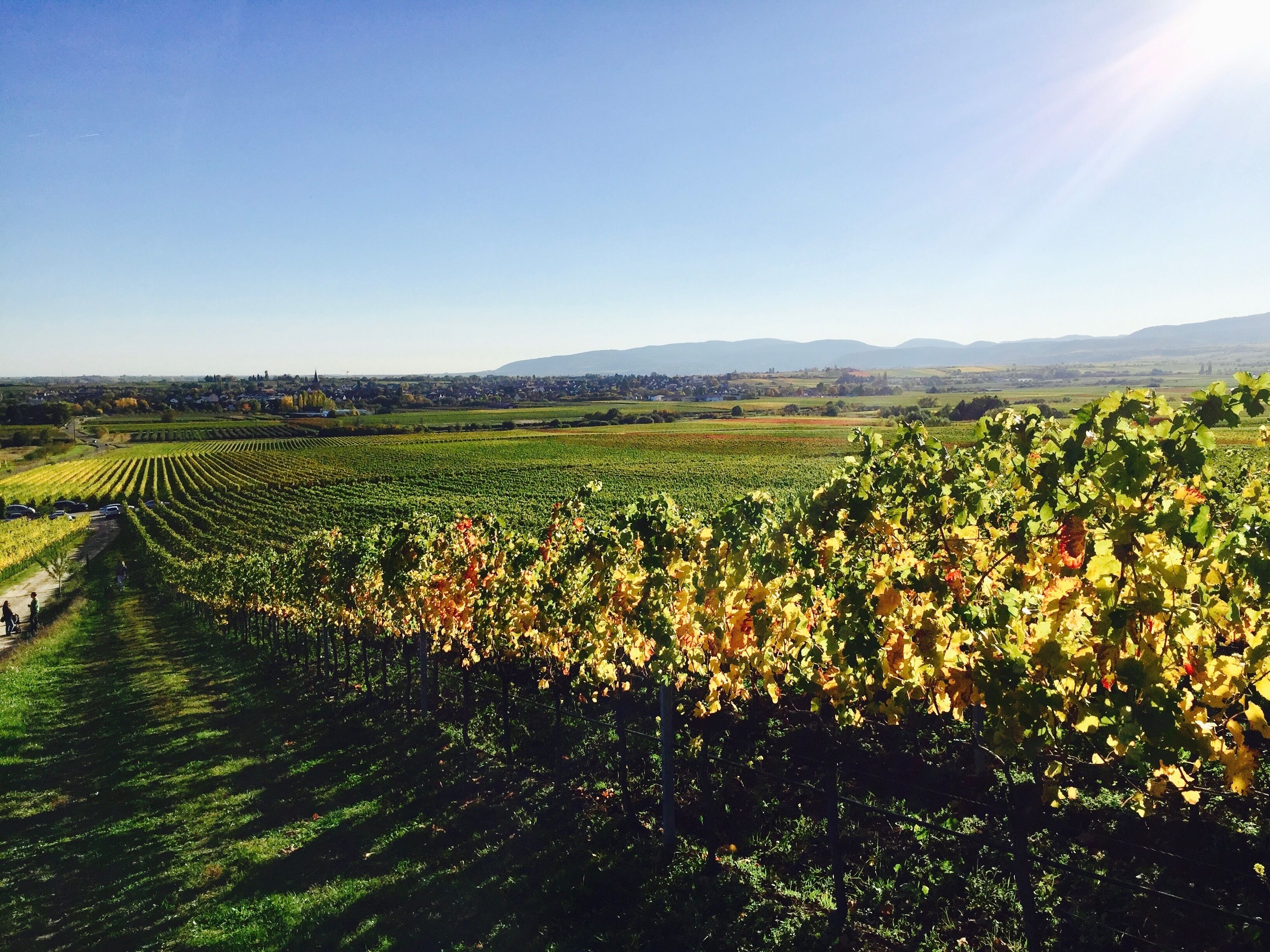 Foto - Hotel Central