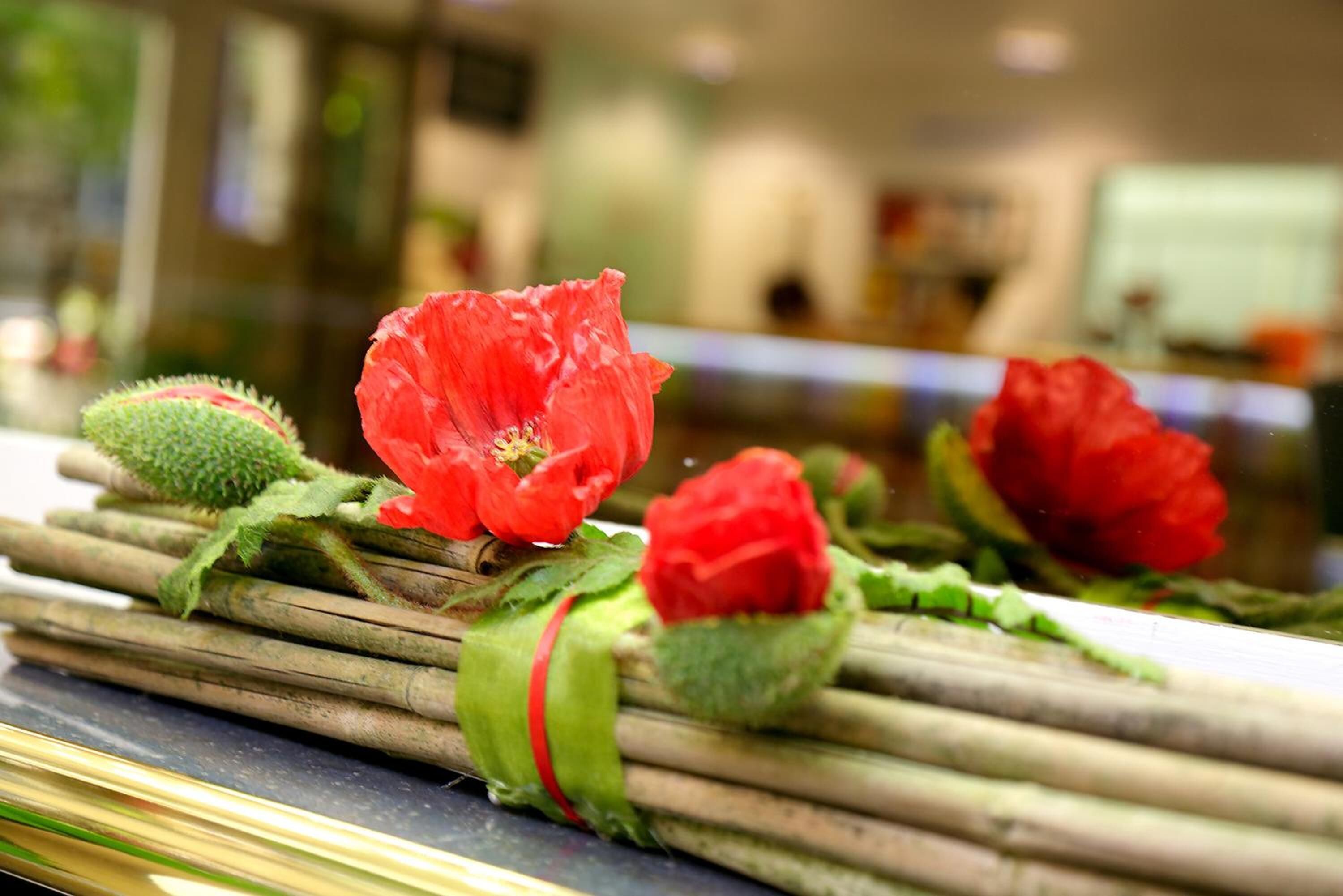 Foto - Park Hotel Post