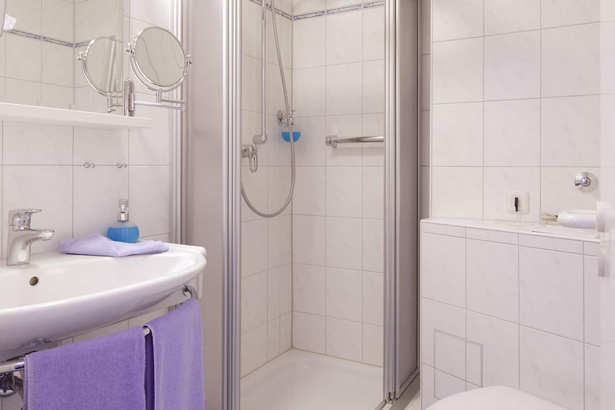 shower, free toiletries, hair dryer, towels