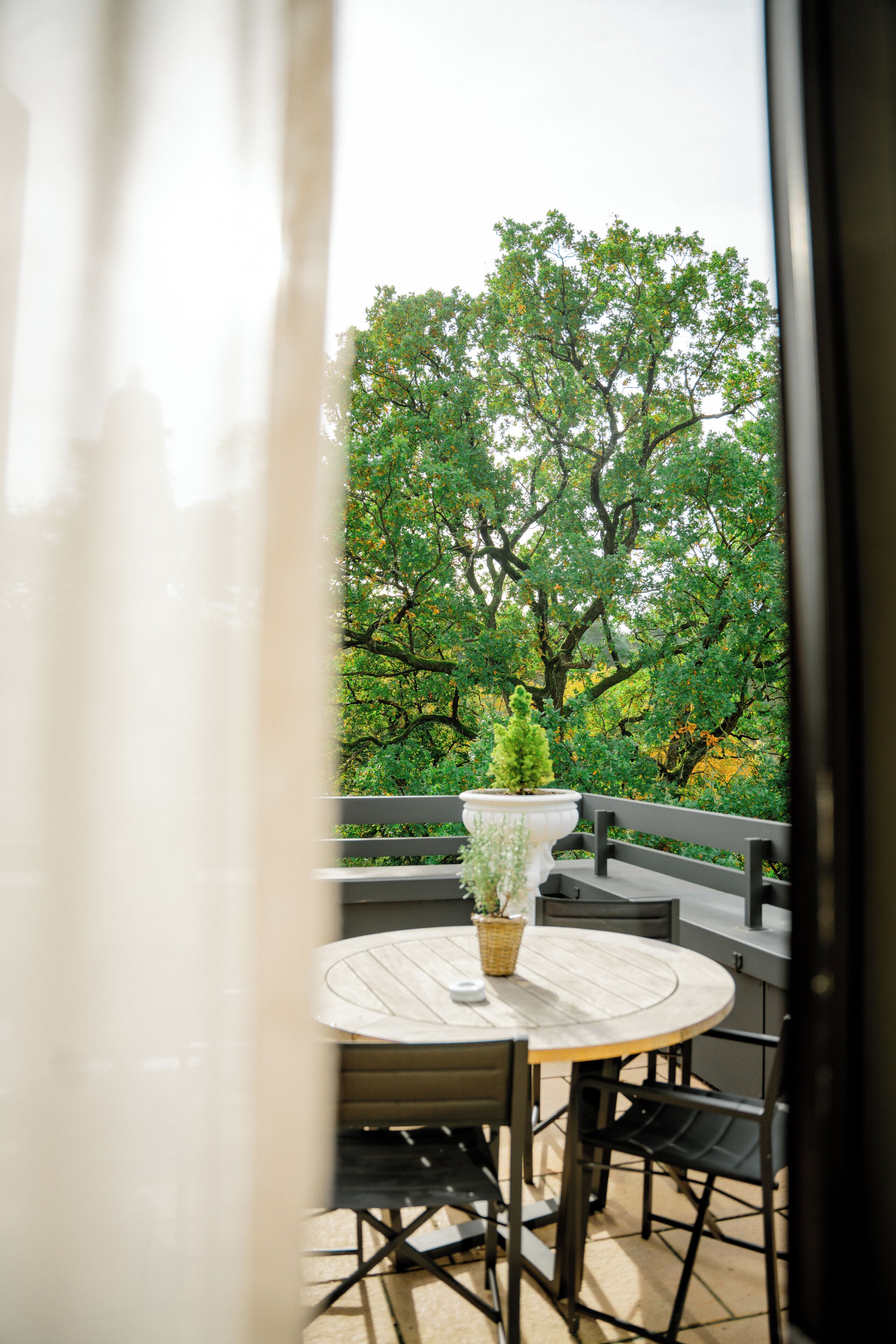 A round table with chairs and a potted plant in the center, set against a backdrop of trees and a view through a window.