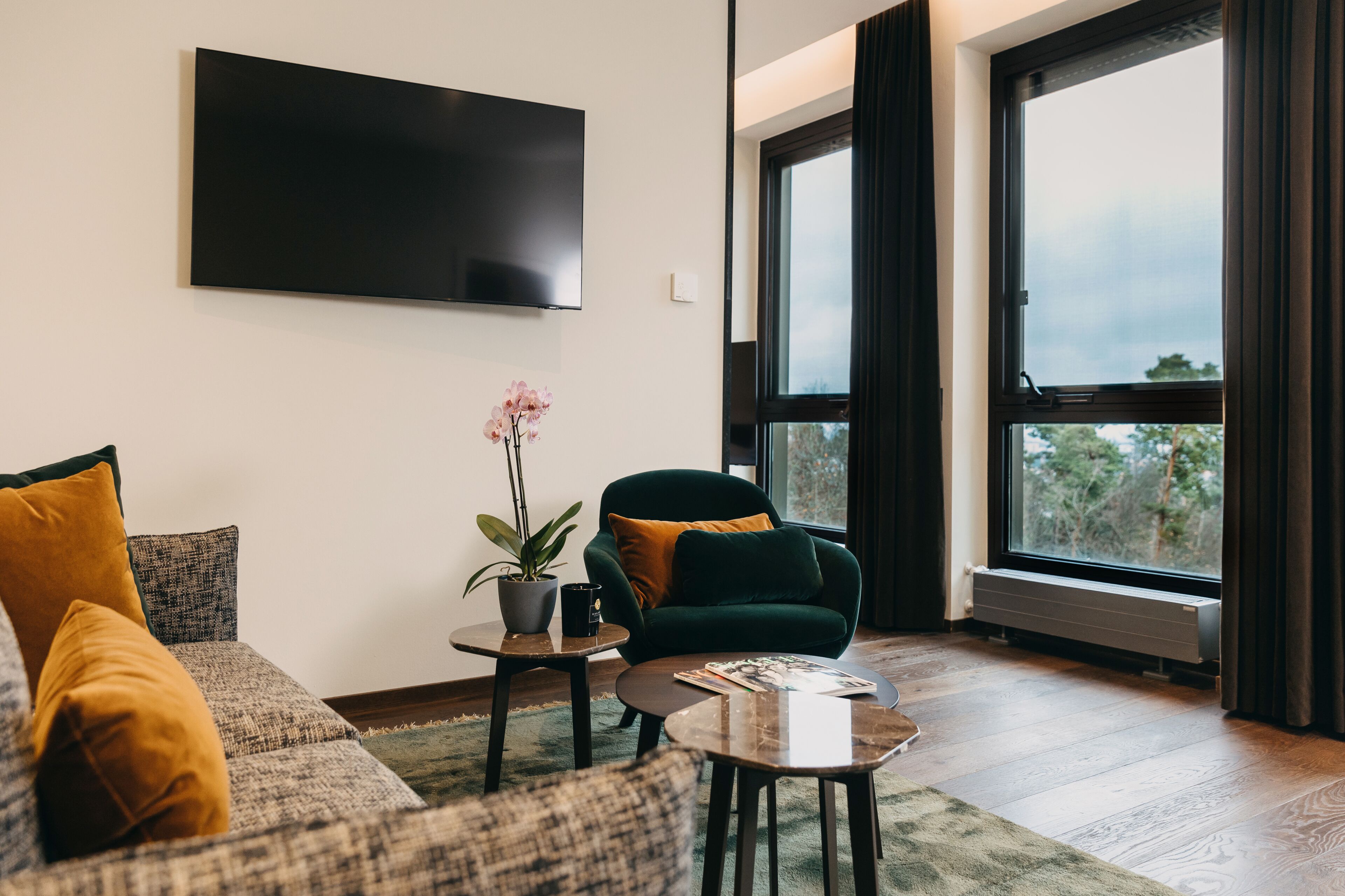 deluxe suite | living area | 31-inch flat-screen tv with satellite channels