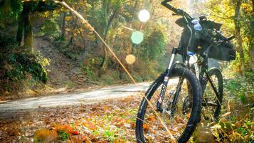 A bicycle parked on a leaf-covered path in a forested area.