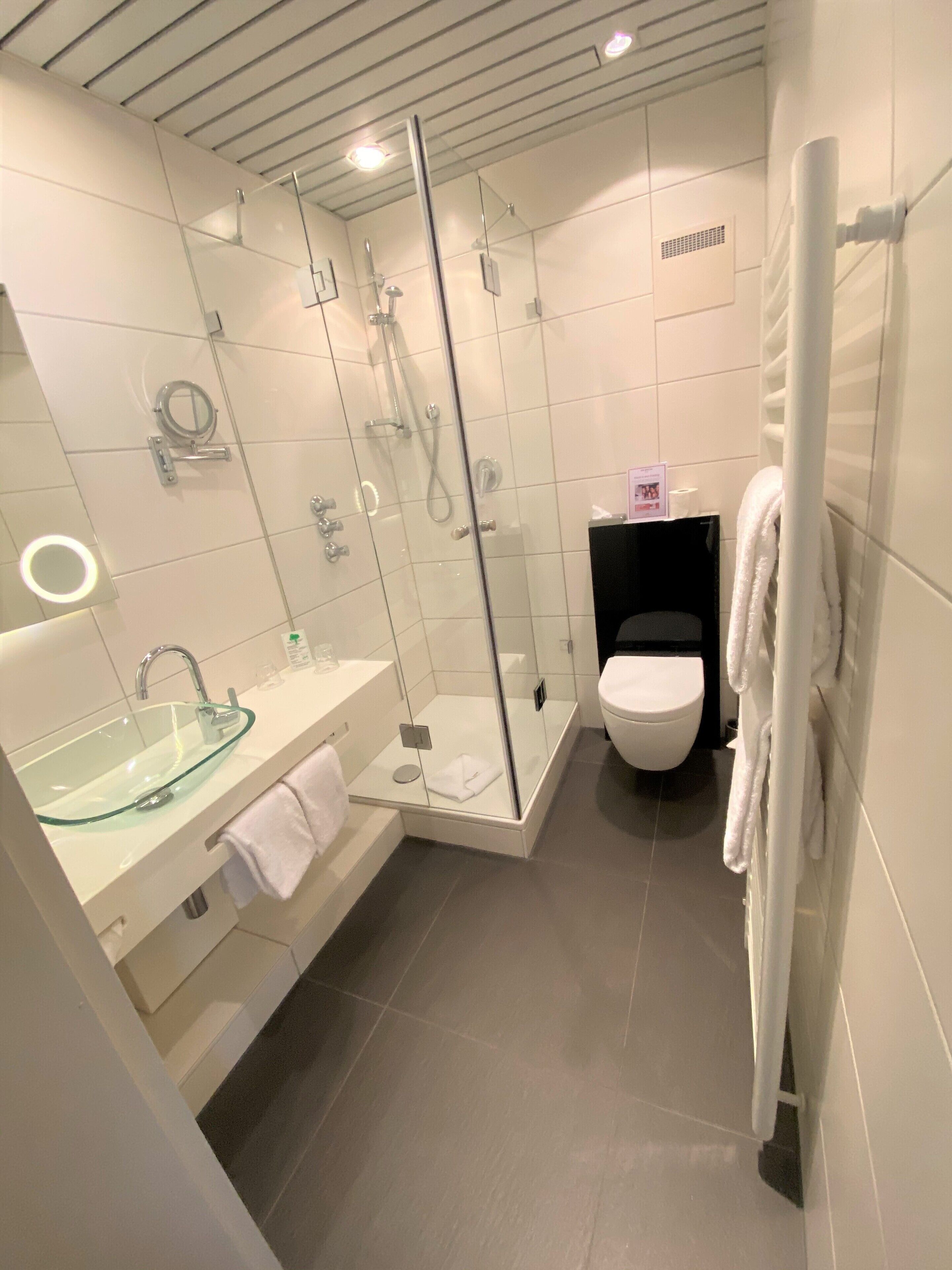 Ein modernes Badezimmer mit einer gläsernen Duschkabine, einem Waschbecken aus Glas und einer Toilette.