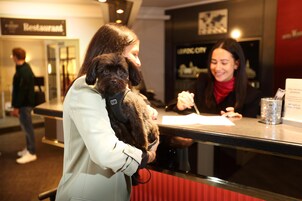 Una persona sosteniendo un perro pequeño en un mostrador, con un letrero que dice 'Restaurant'.