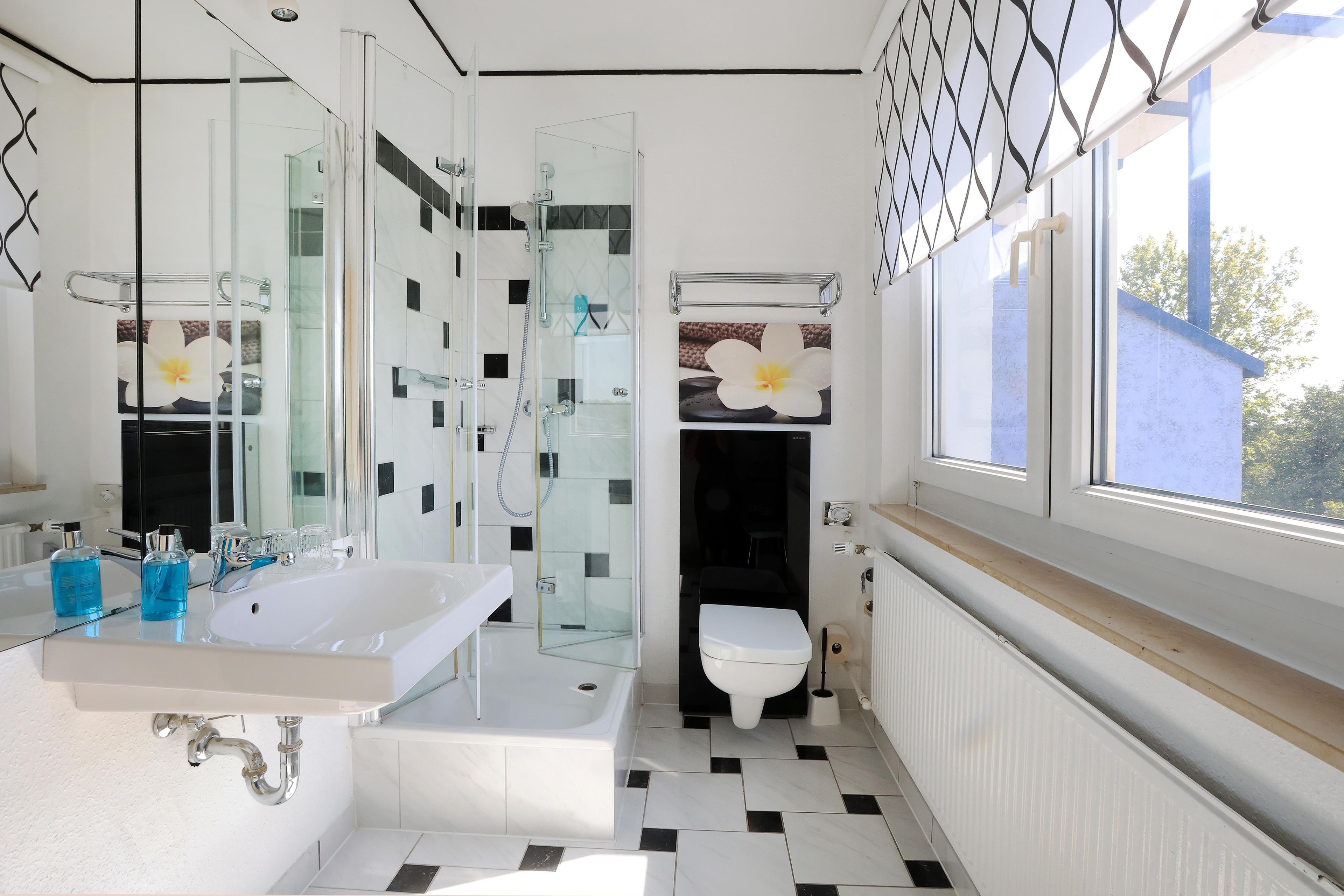 Shower, hair dryer, towels