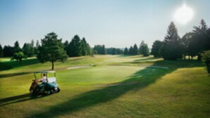 A golf course with a golf cart and a clear sky. - Hotel Galleria (Munich)