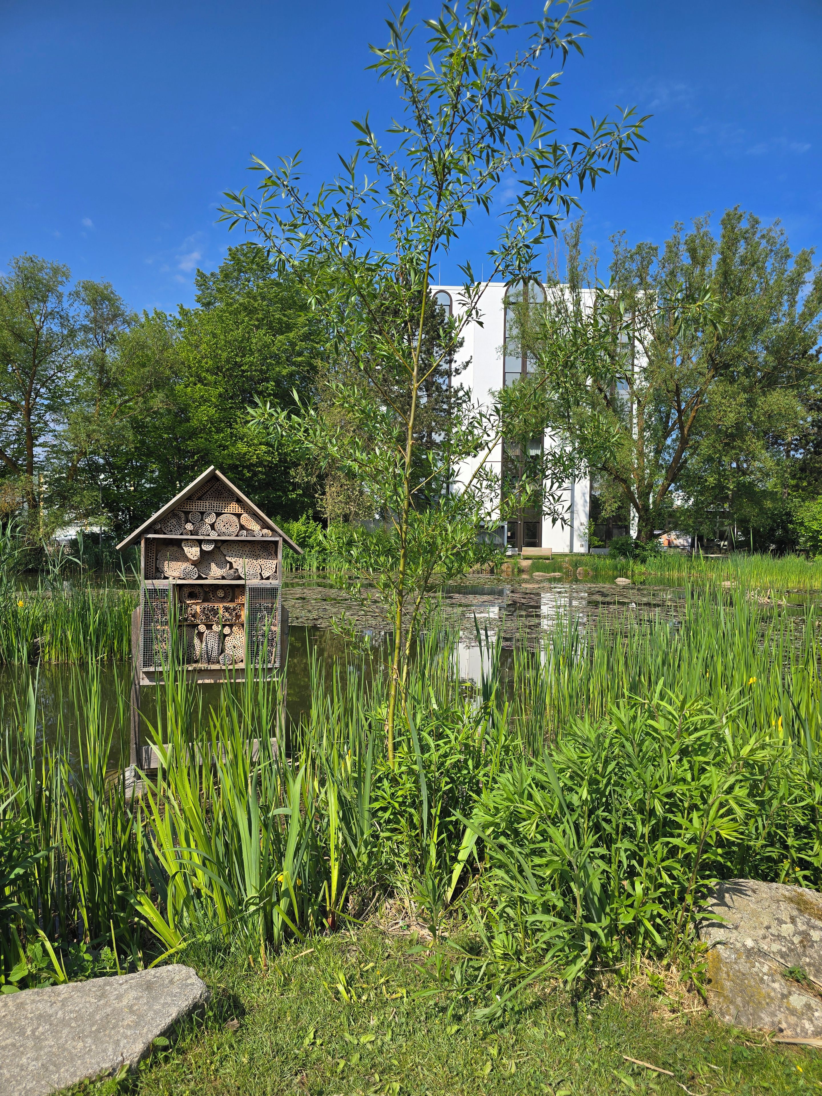 Eksteriør