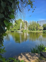 A tranquil pond with a fountain, surrounded by lush greenery and a modern building in the background.