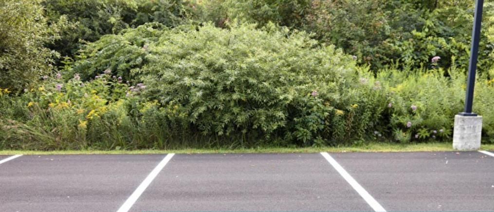 Ein Parkplatz mit einem Schild, auf dem 'Großer Hotelparkplatz' steht.