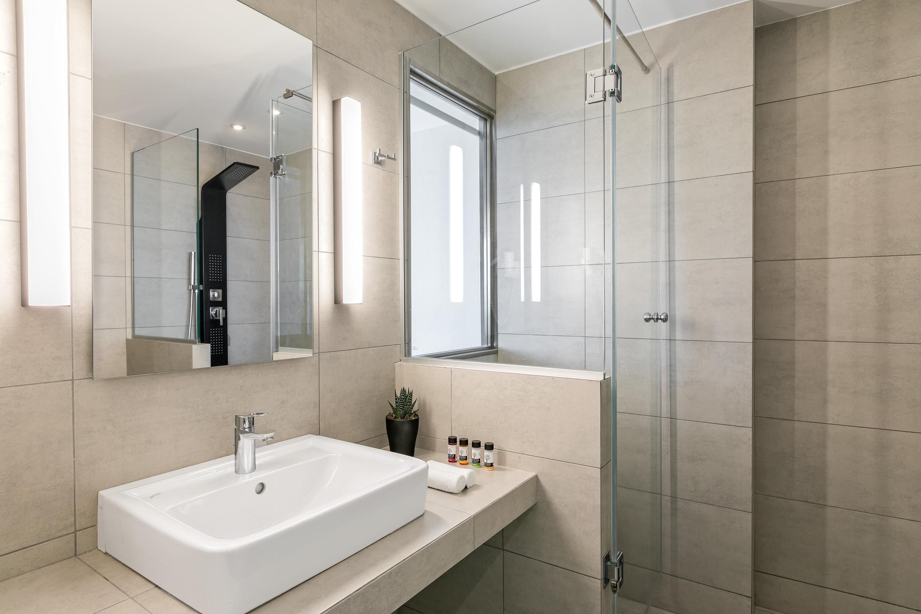 A modern bathroom with a large white sink, a glass shower enclosure, and a small potted plant on the vanity.