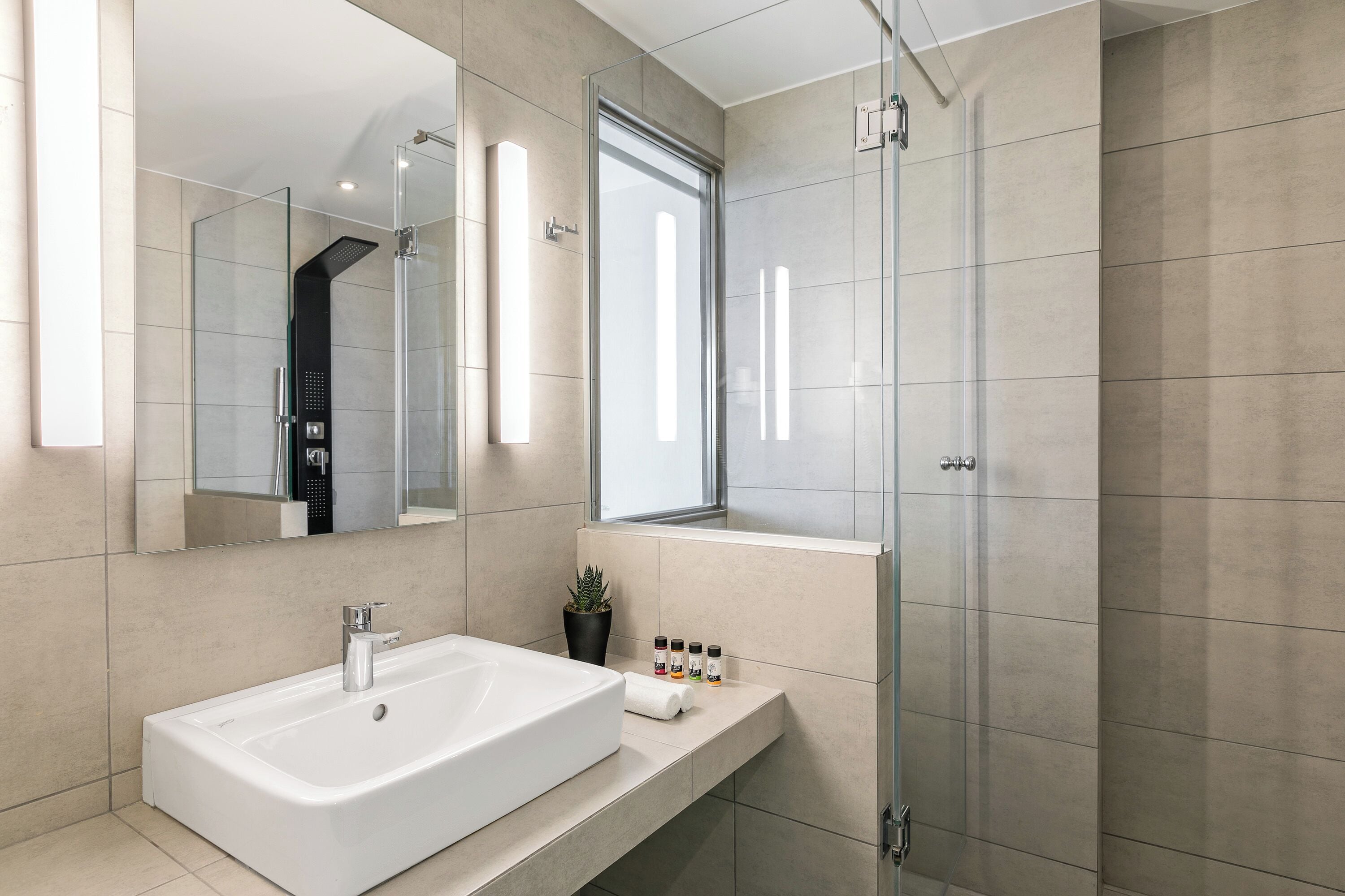 A modern bathroom with a large white sink, a glass shower enclosure, and a small potted plant on the vanity.