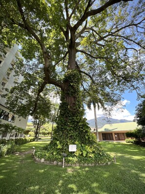 Exterior - Copantl Hotel & Convention Center (San Pedro Sula)