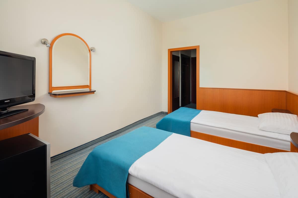 Une chambre d’hôtel avec deux lits simples, une télévision et un miroir.