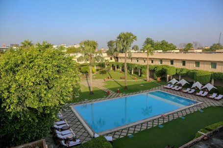 A swimming pool with lounge chairs and palm trees.