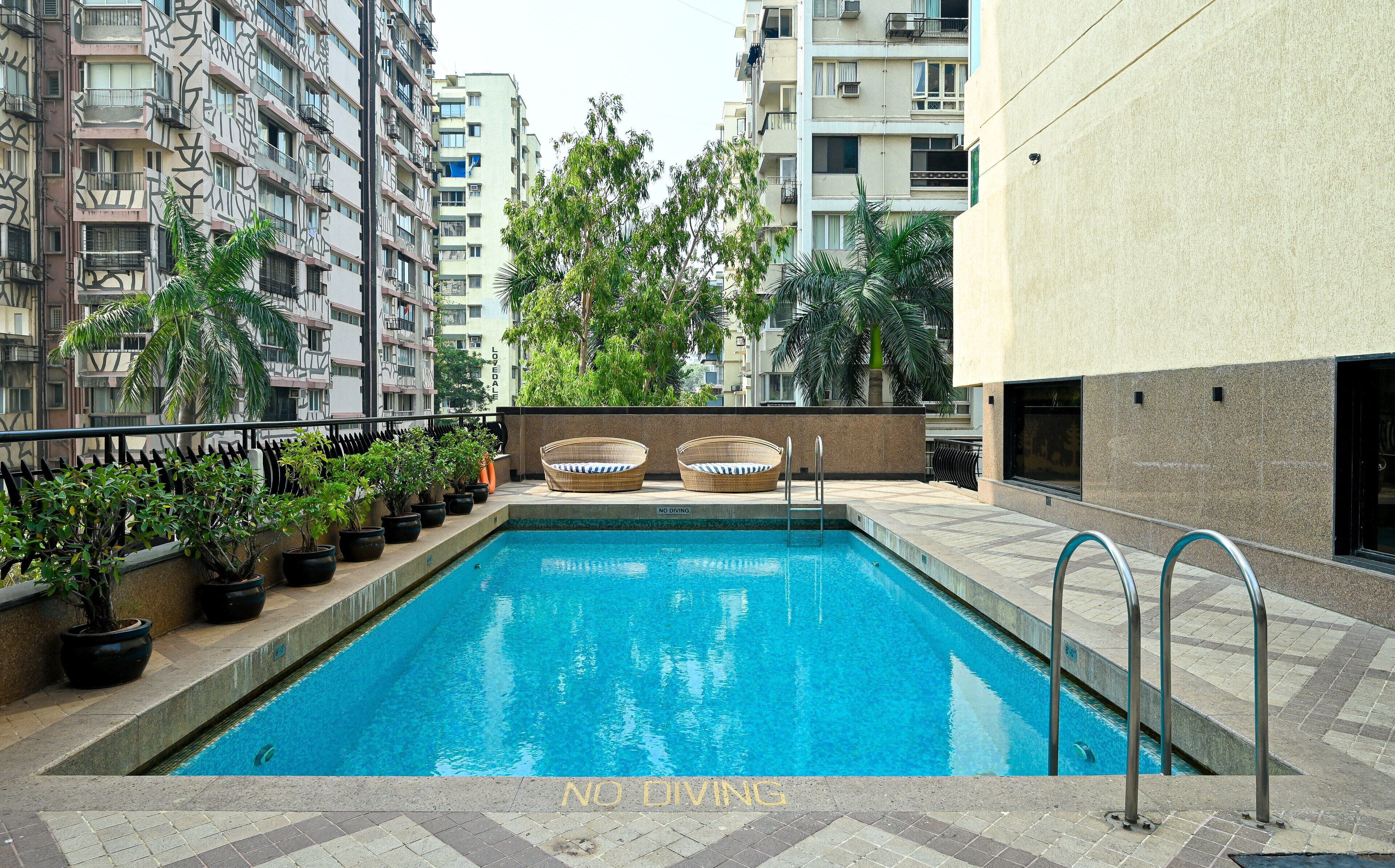 A rooftop pool with a "NO DIVING" sign, surrounded by potted plants and wicker chairs, set against a backdrop of high-rise buildings.