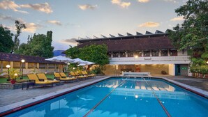 Una piscina con tumbonas y sombrillas, rodeada por un edificio con balcón y vistas a árboles.