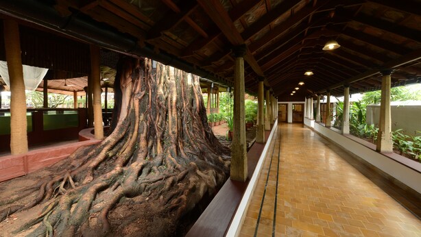 Un paseo techado con un gran tronco de árbol como centro, vigas de madera y suelo de baldosas.