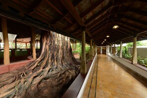Un paseo techado con un gran tronco de árbol como centro, vigas de madera y suelo de baldosas.