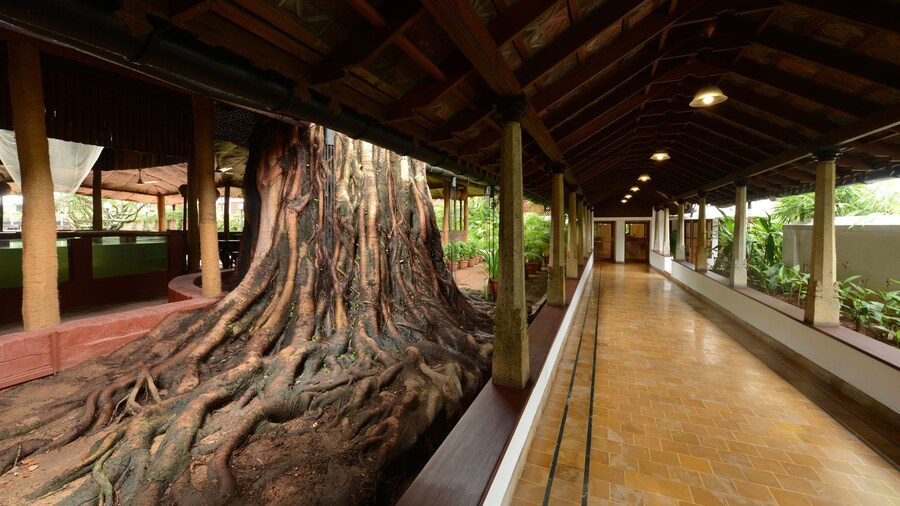 Casino Hotel - Cgh Earth, Cochin