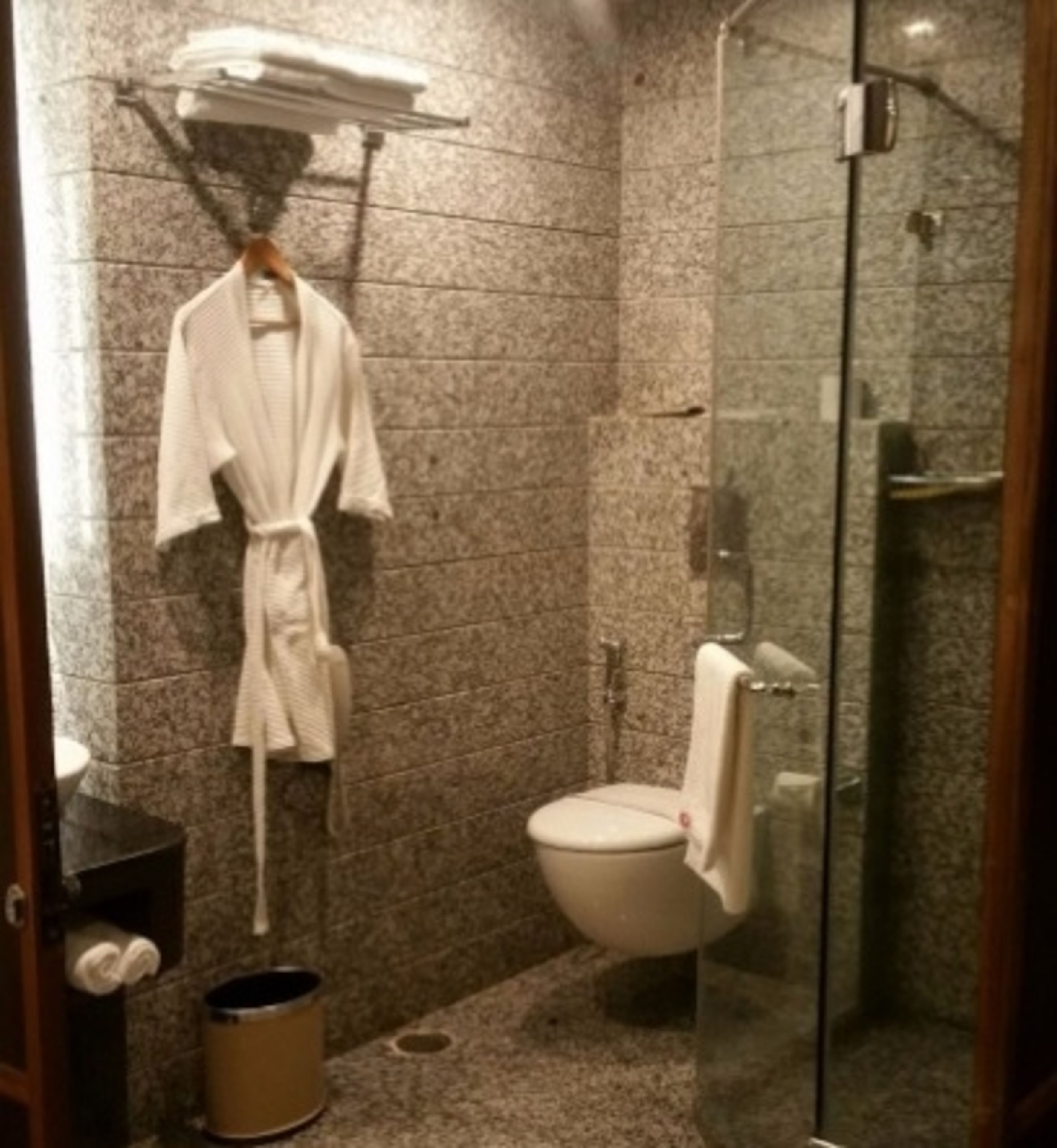 A bathroom with a glass shower enclosure, a white toilet, and a towel rack with a white bathrobe hanging.
