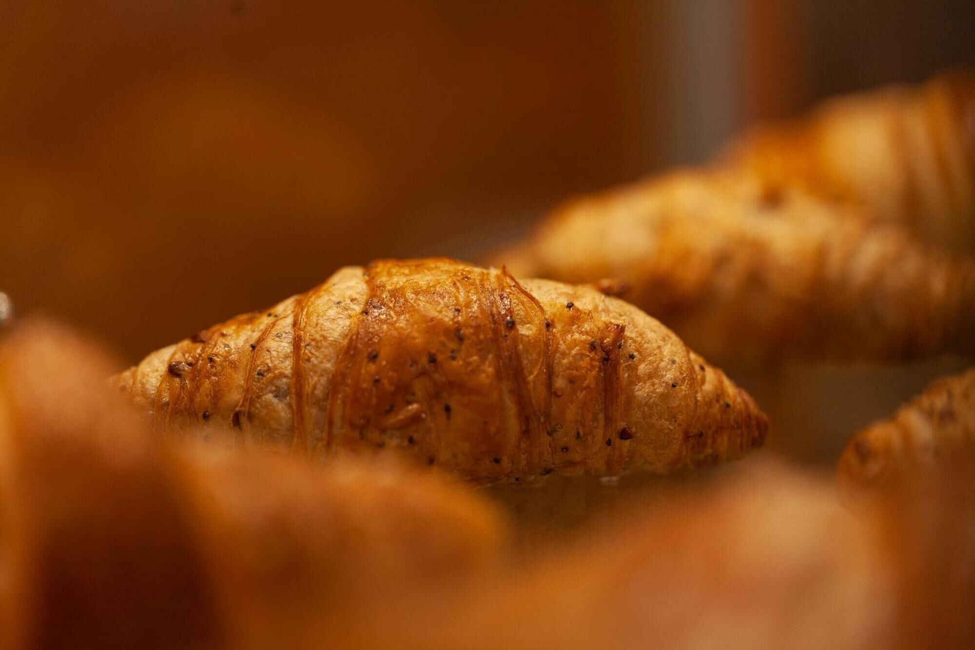 Primer plano de un croissant con una corteza dorada.