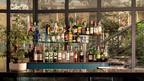 A bar with a variety of liquor bottles and glasses, a potted plant, and a view of a building through large windows. - Hotel American Palace Eur (Rome)
