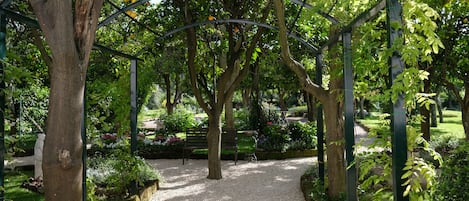 A garden pathway with a pergola structure, surrounded by trees and plants.