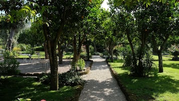 A gravel pathway flanked by trees and greenery, leading to a seating area with tables and chairs.