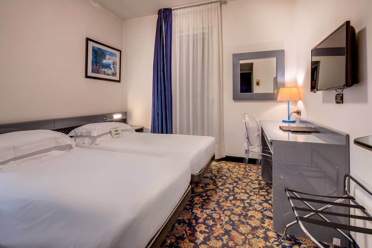 Economy Twin kamer | Hypoallergeen beddengoed, donzen dekbedden, een minibar