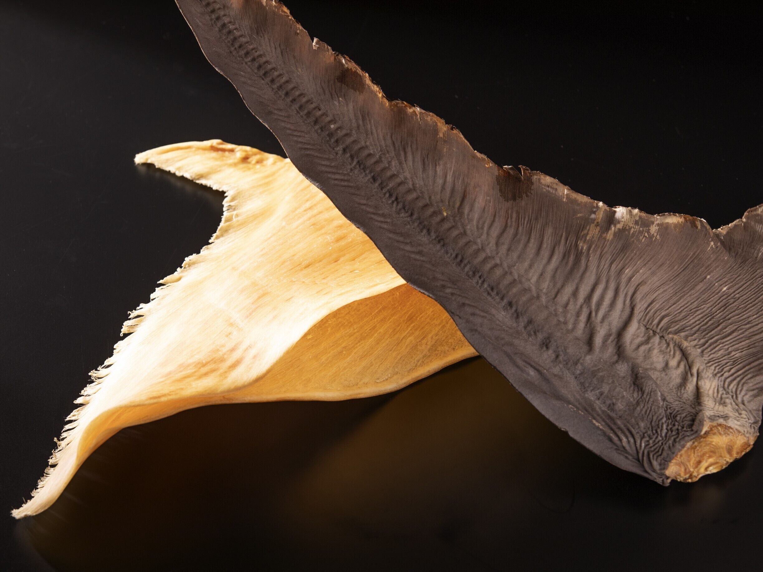 3 restaurants, breakfast, lunch, dinner served; chinese cuisine