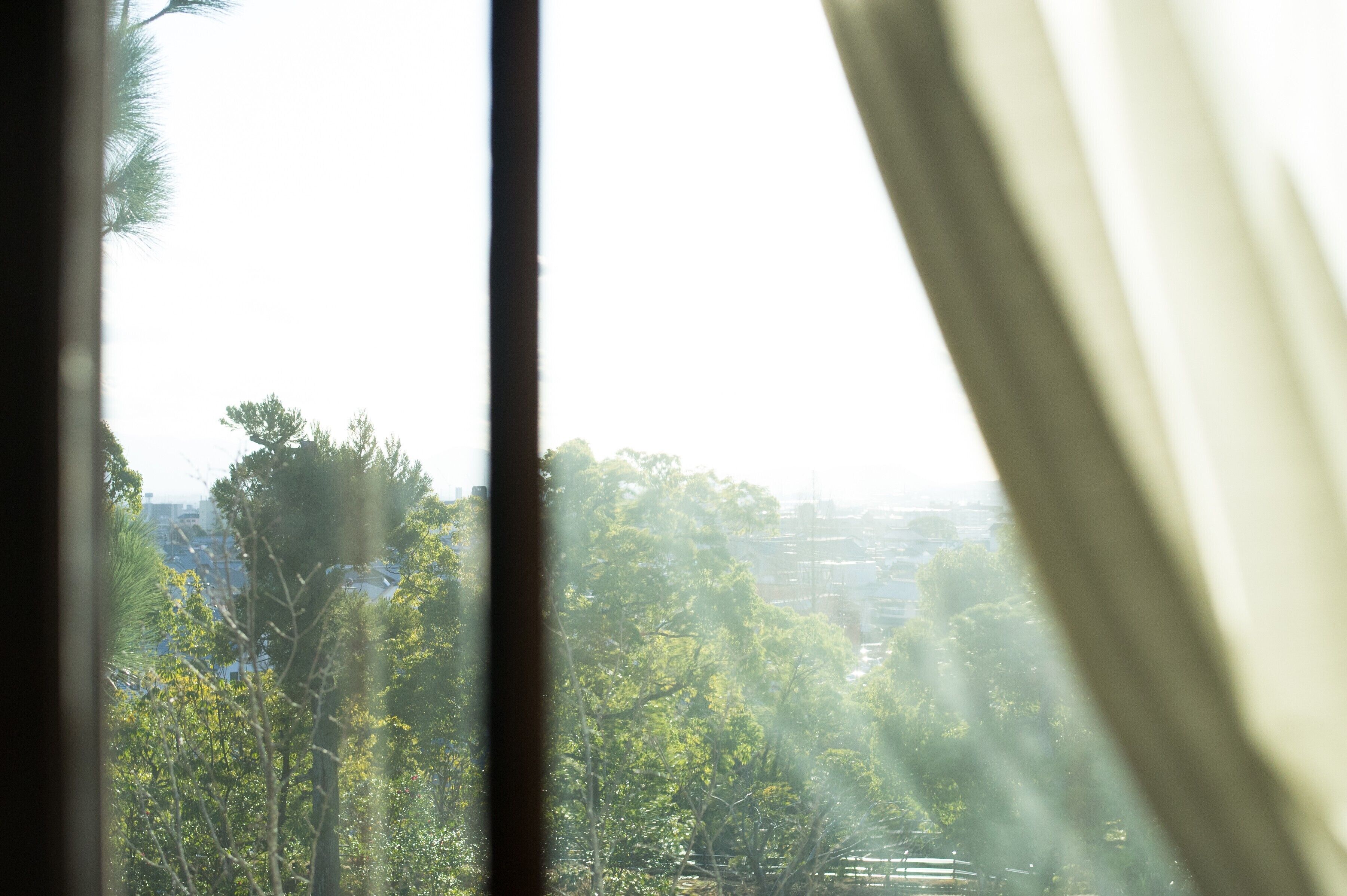 A view through a window with curtains, featuring trees and a distant cityscape.