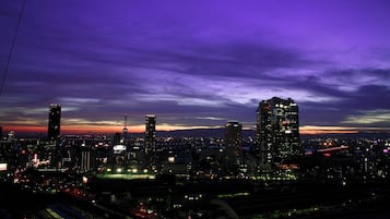 Habitación Deluxe con 2 camas individuales, para no fumadores, vista a la ciudad (38sqm) | Vista desde la habitación