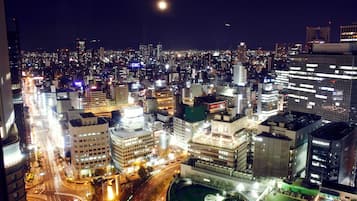 Vista desde la propiedad