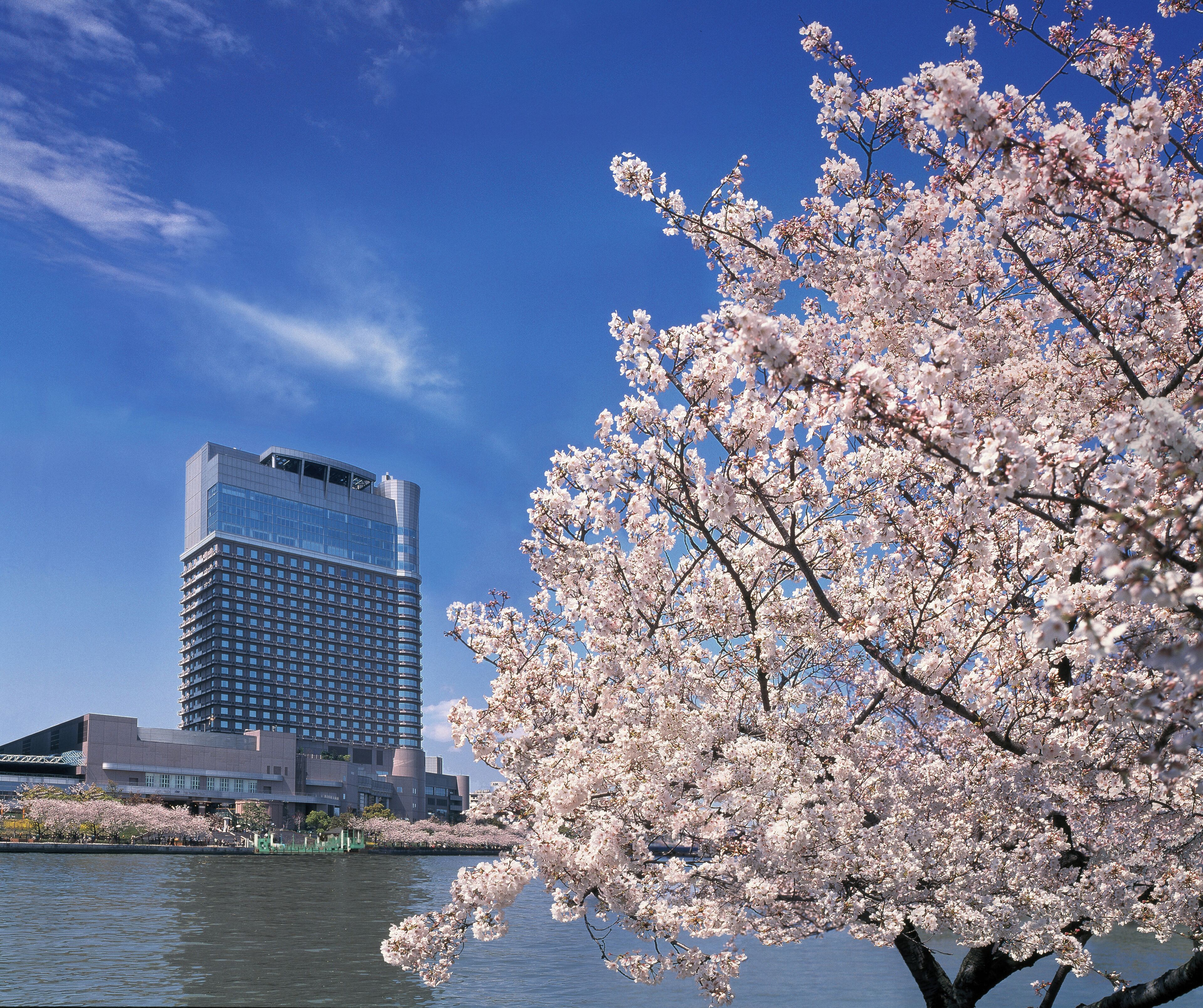 A building with a modern glass facade, a tree with pink blossoms, and a clear blue sky.
