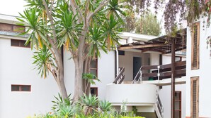 A modern building with a white exterior, a wooden staircase, and a large tree in the center. - Sunbird Lilongwe (Lilongwe)