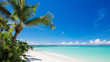 Accommodatie ligt op het strand, wit zand, gratis strandhuisjes