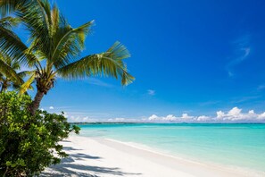 On the beach, white sand, free beach cabanas, sun loungers