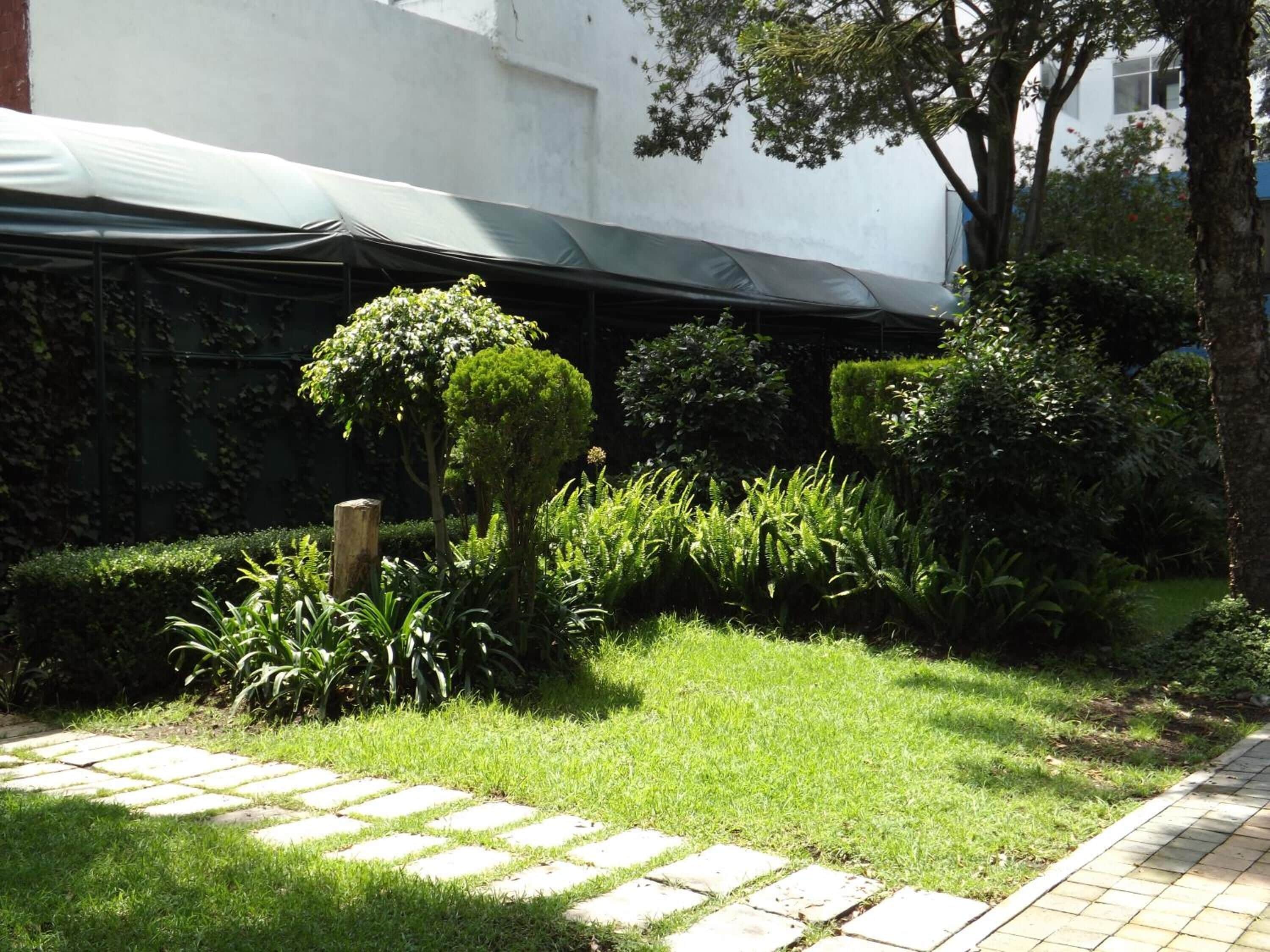 Photo - Pedregal Palace